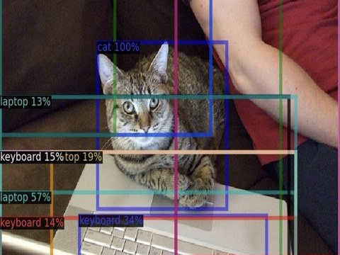Open-vocabulary detection results of DAT